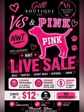 VS & PINK RANDOM PULLS NWT